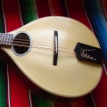 10 string mandocello