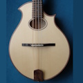 flat top mandolin