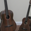 Guitar and uke