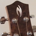 Burr walnut head