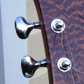 Snakewood head