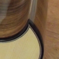 English walnut cutaway