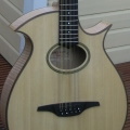 Cittern