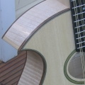 Cittern