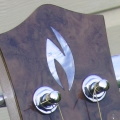 Cittern