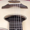 Archtop guitar