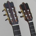 Instruments for Muse