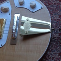 Cittern