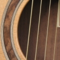 Burr walnut
