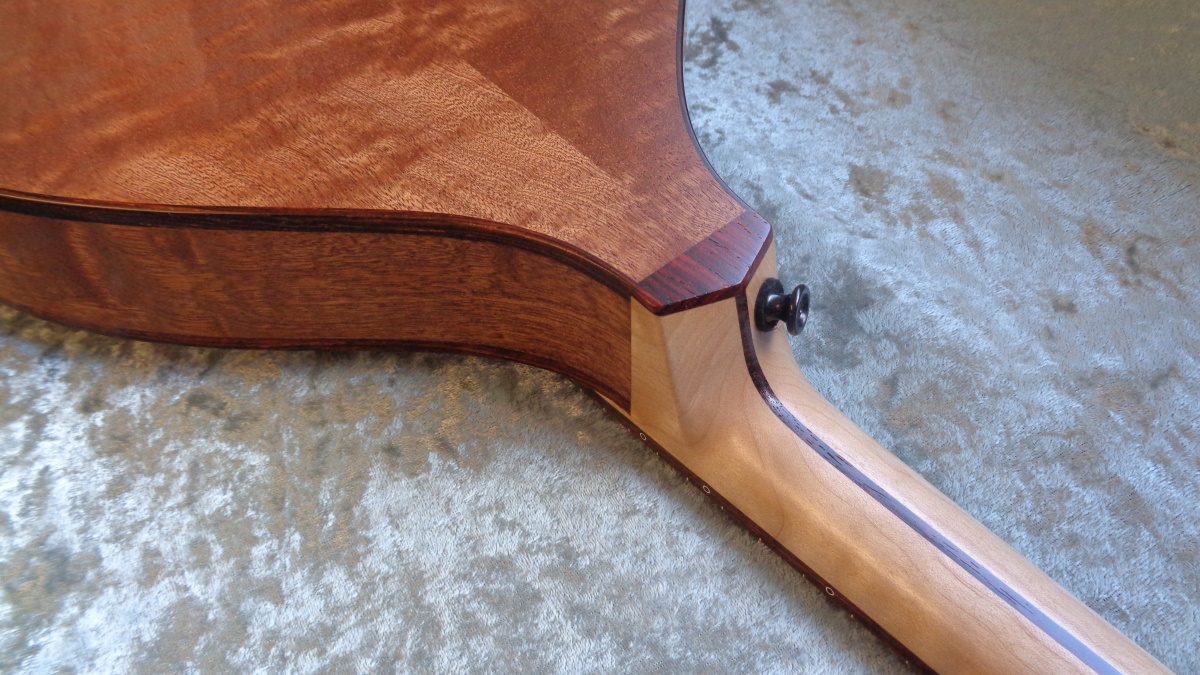 NAVA GUITARS The "Standard" mandolin